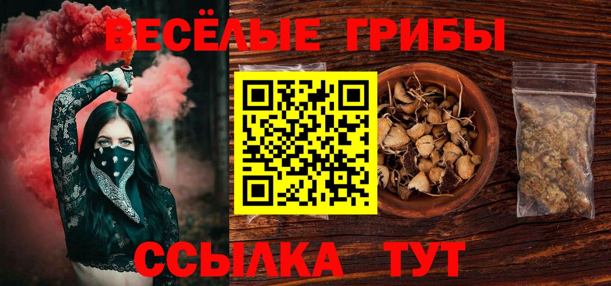 Псилоцибиновые грибы мицелий Зерноград